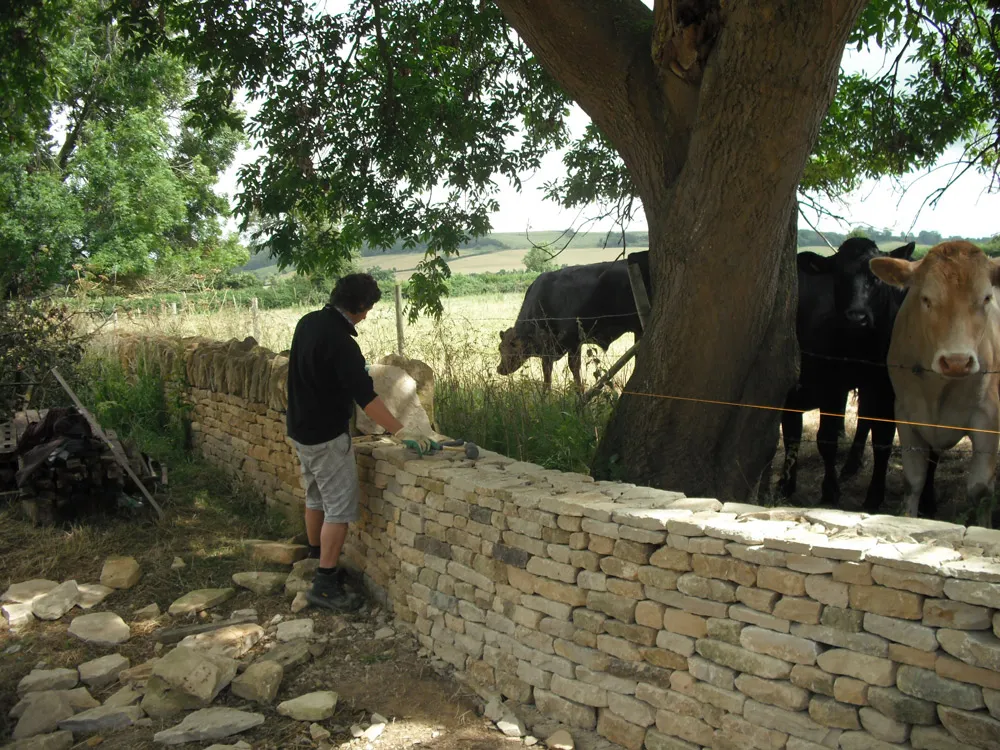 Houghton Dry Stone Walling
